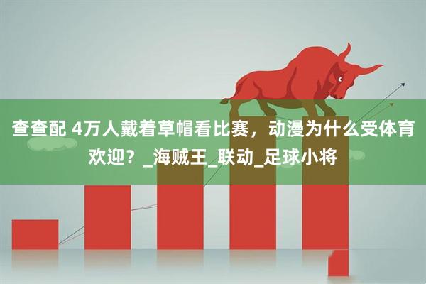 查查配 4万人戴着草帽看比赛，动漫为什么受体育欢迎？_海贼王_联动_足球小将